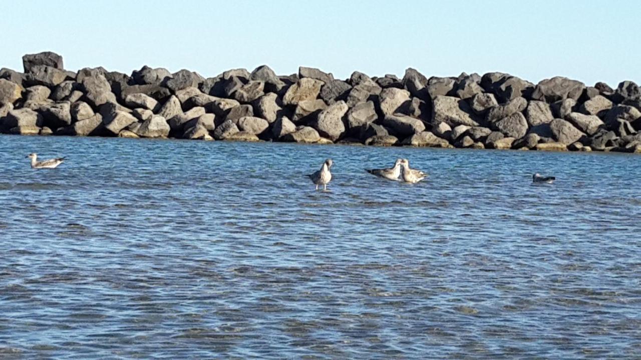 Mer - Plage Lazaret Leilighet Sète Eksteriør bilde